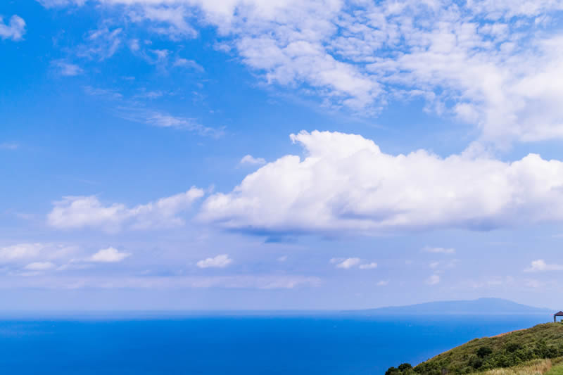 天然食品めぐる