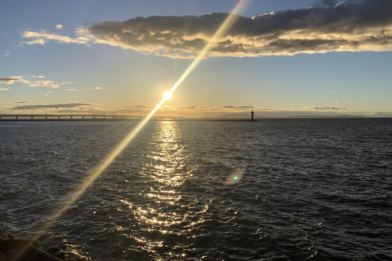 天然食品めぐる